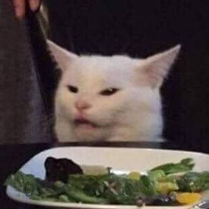 Meet your Posher, Sadie